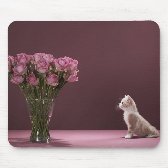 Kitten looking at vase of roses mouse pad (Front)