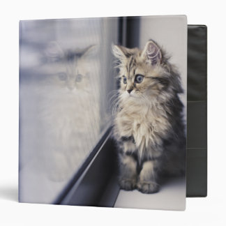 Kitten Looking Out Window 3 Ring Binder