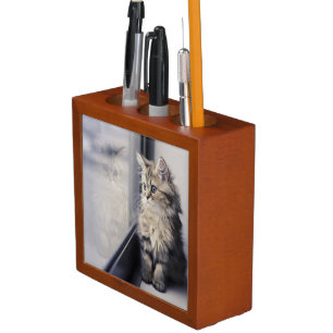 Kitten Looking Out Window Desk Organizer