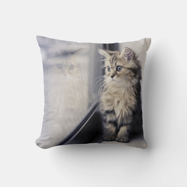 Kitten Looking Out Window Throw Pillow (Front)