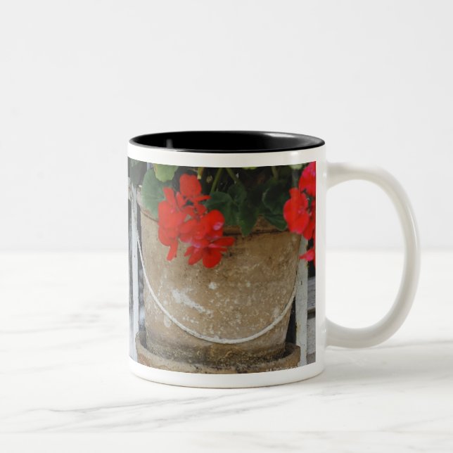 Kitten Looking Out Window Two-Tone Coffee Mug (Right)