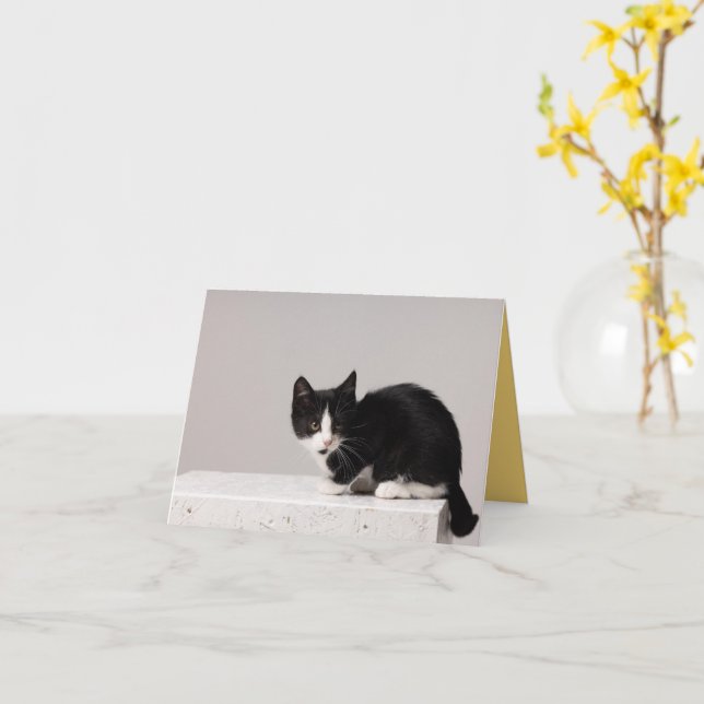 Kitten Love Card (Yellow Flower)