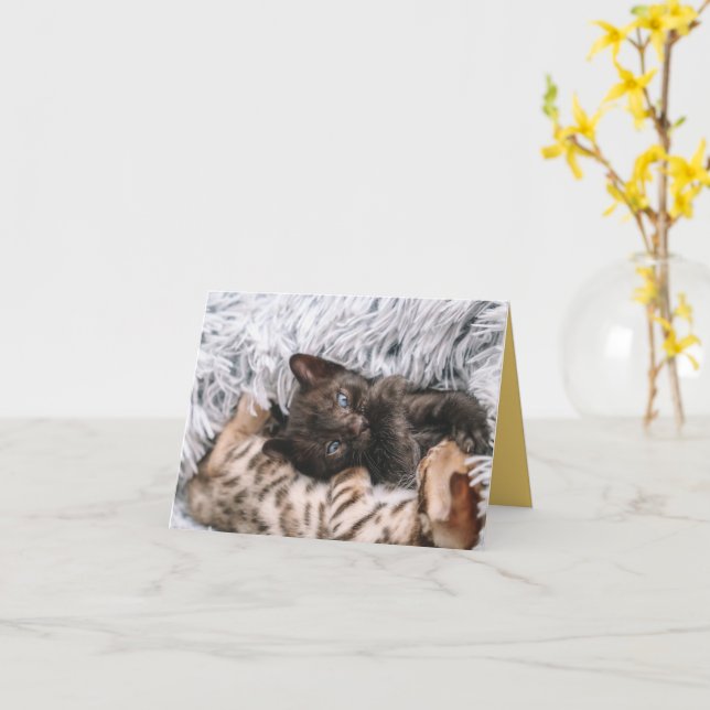 Kitten Love Card (Yellow Flower)