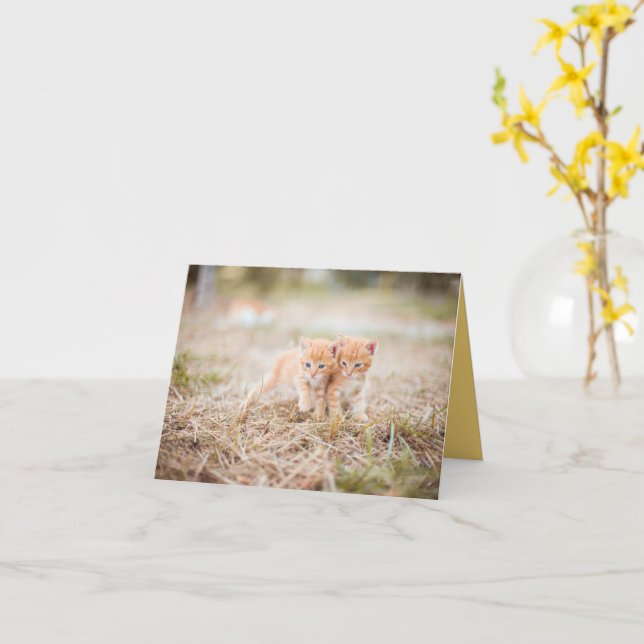 Kitten Love Card (Yellow Flower)