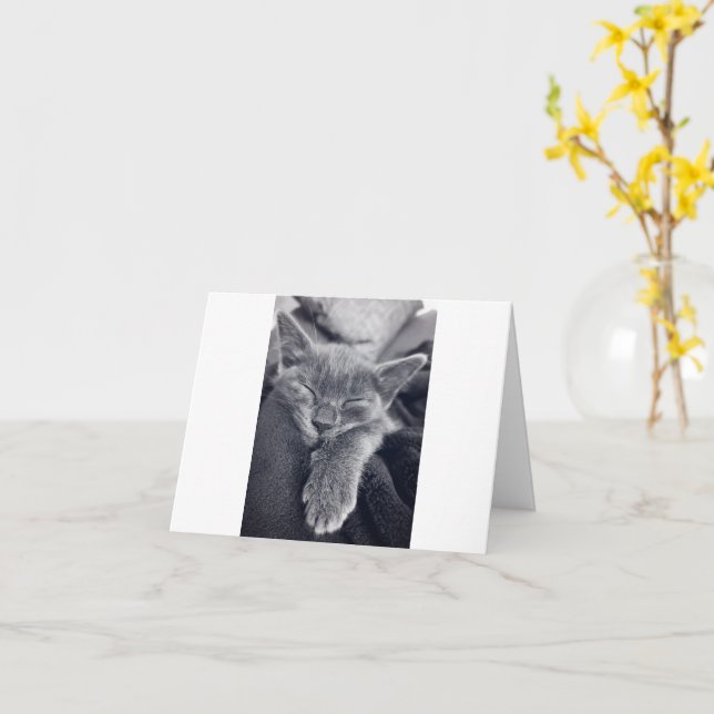 Kitten Love Card (Yellow Flower)