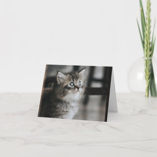 Kitten Love Card (Front)