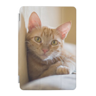 Kitten Lying On The Couch iPad Mini Cover