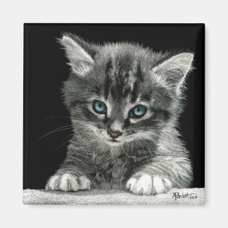 Kitten Magnet - "Bright Future"