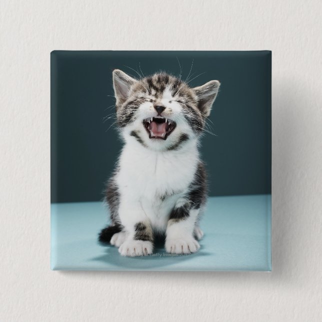 Kitten meowing button (Front)