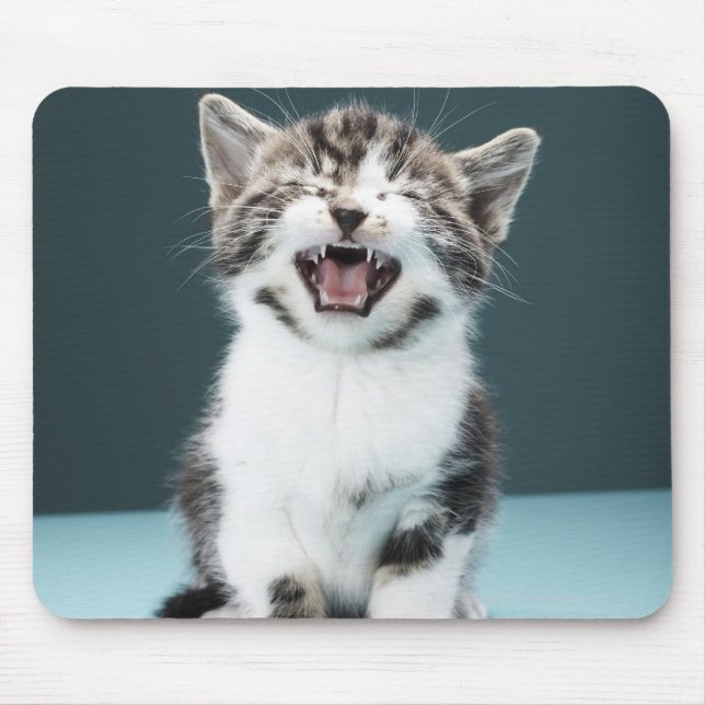 Kitten meowing mouse pad (Front)