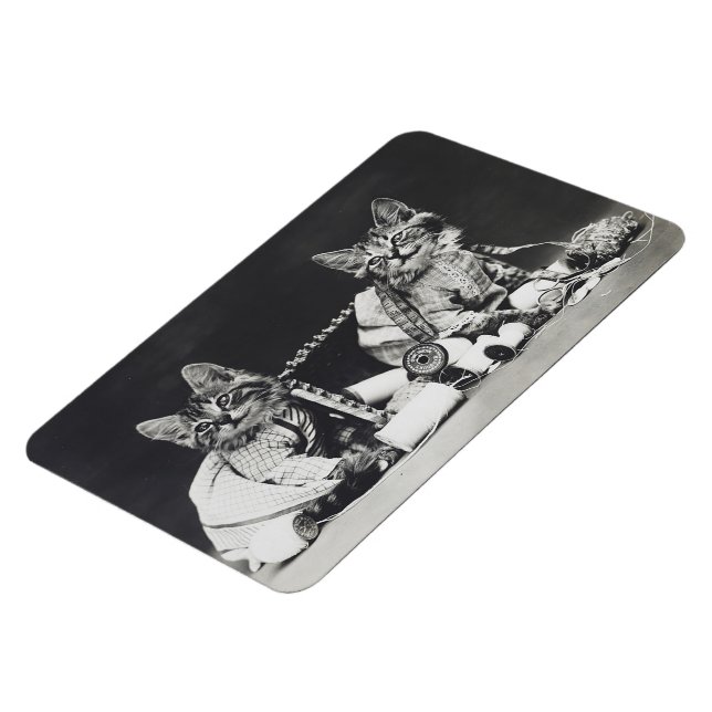 Kitten Mischief Makers 1914 Magnet (Left Side)