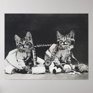 Kitten Mischief Makers 1914 Poster