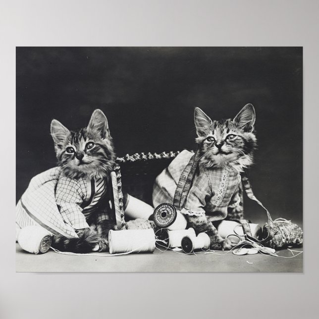 Kitten Mischief Makers 1914 Poster (Front)