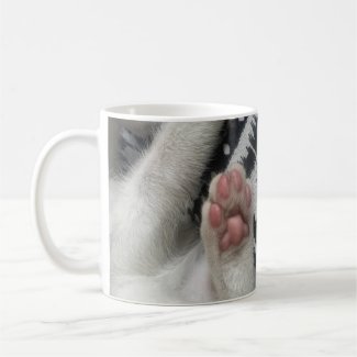 Kitten Mug, Cat Love, Funny Mug
