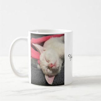 Kitten Mug, Love Mug