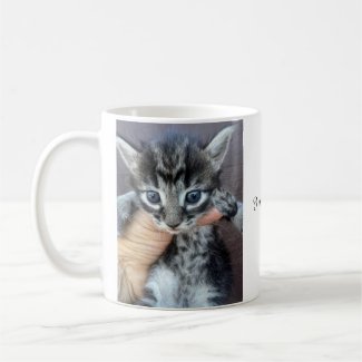 Kitten Mug, Procrastinator Mug, Funny Mug