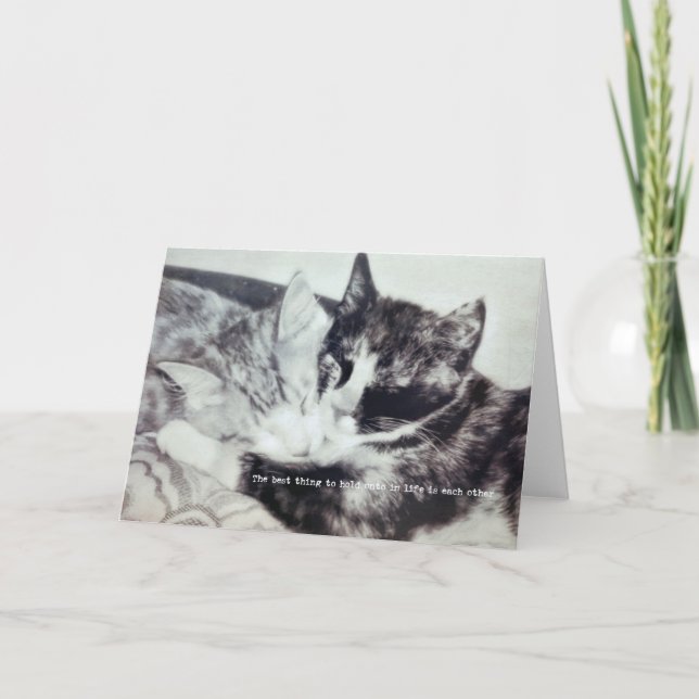 KITTEN NAP Greeting Card (Front)