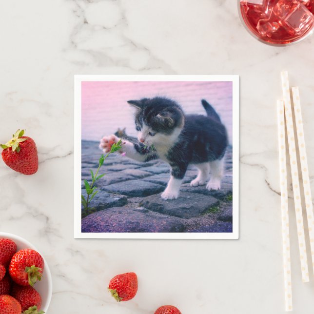 Kitten Napkins (Insitu)