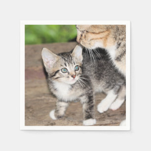 Kitten Napkins