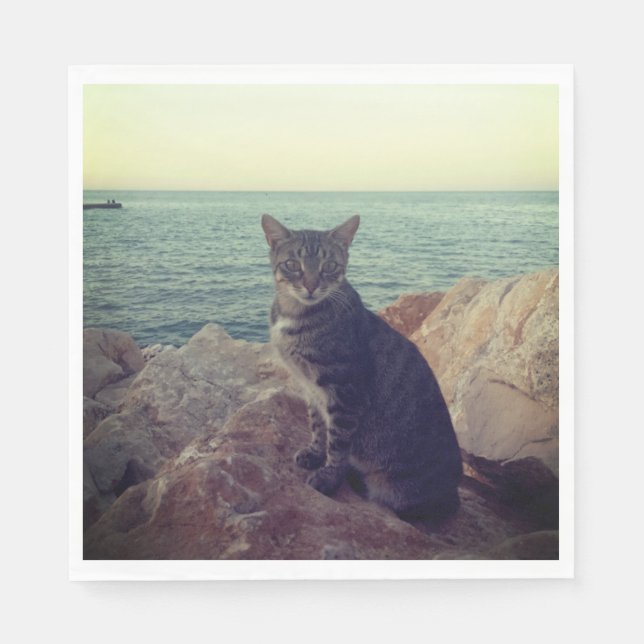 Kitten Napkins (Front)