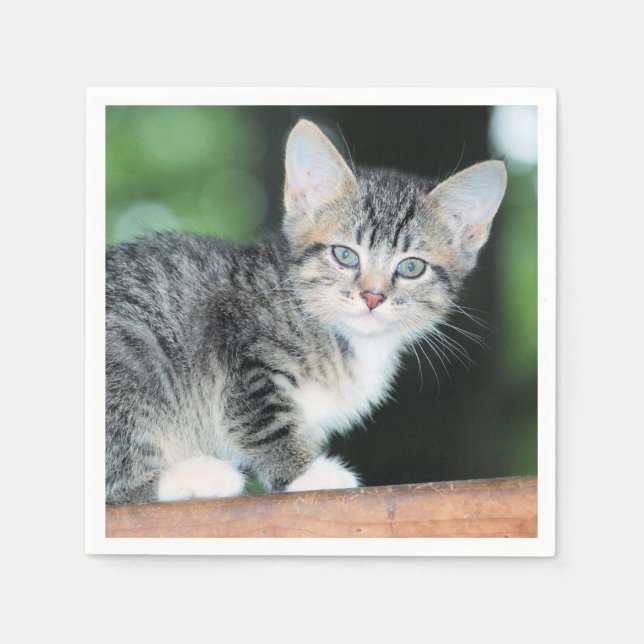 Kitten Napkins (Front)