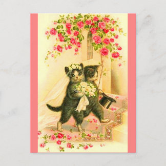 kitten newlyweds postcard