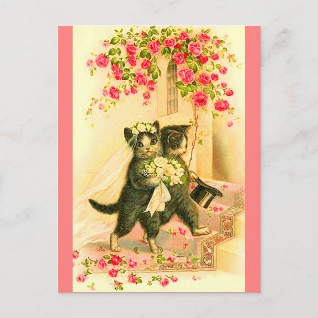kitten newlyweds postcard (Front)