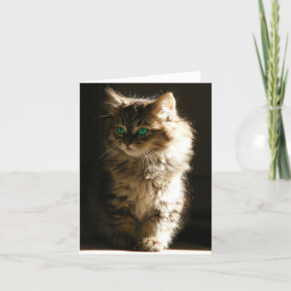 Kitten NoteCards