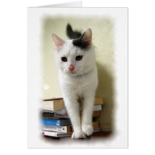 Kitten on Books Card (Front)