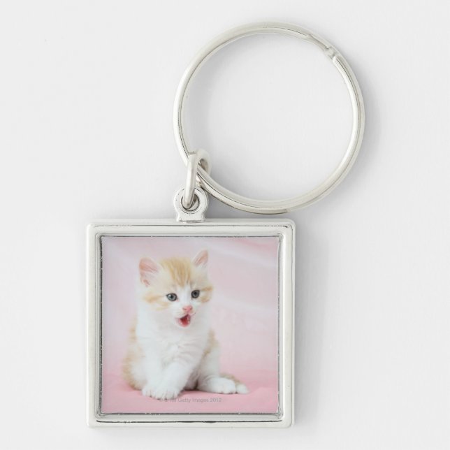 Kitten on Pink Background Keychain (Front)