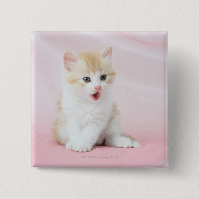 Kitten on Pink Background Pinback Button (Front)