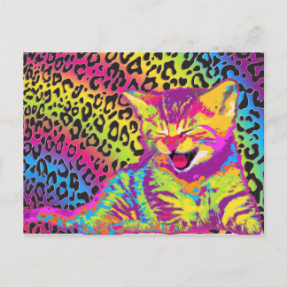 Kitten on rainbow leopard print background postcard