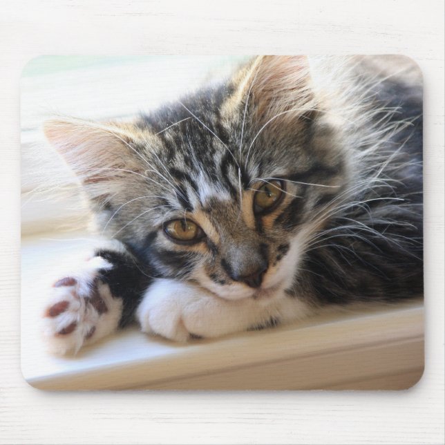 Kitten on Windowsill Mouse Pad (Front)