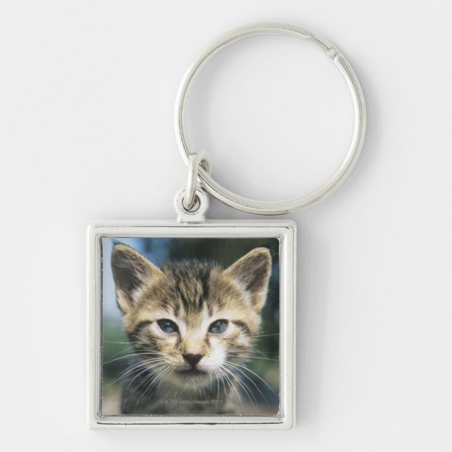 Kitten outdoors keychain (Front)