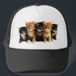 Kitten Outfits Trucker Hat<br><div class="desc">Hats, shirts, baby clothes, with cute adorable kittens.</div>