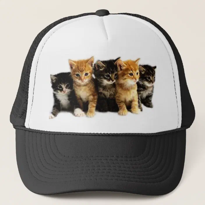 Kitten Outfits Trucker Hat Zazzle Com