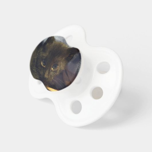 kitten pacifier (Front Right)