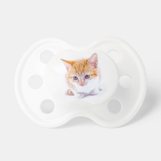 Kitten Pacifier (Front)