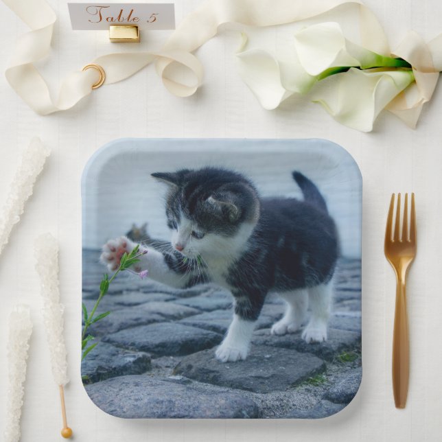 Kitten Paper Plates (Wedding)