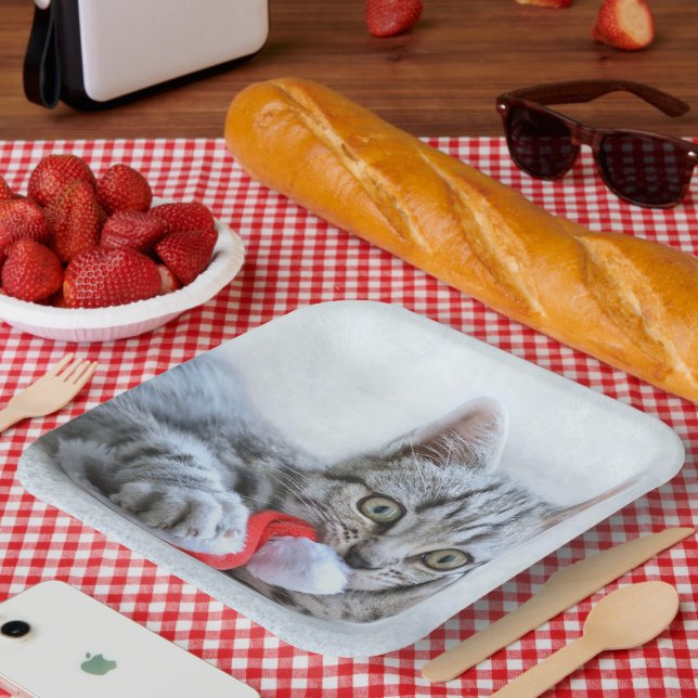 Kitten Paper Plates (Picnic)