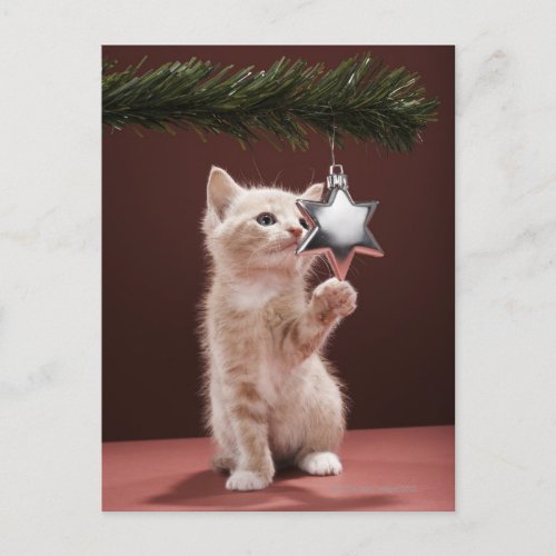 Kitten pawing Christmas decoration on tree Holiday Postcard