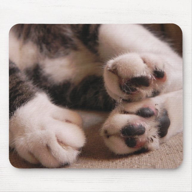 Kitten Paws Mouse Pad (Front)