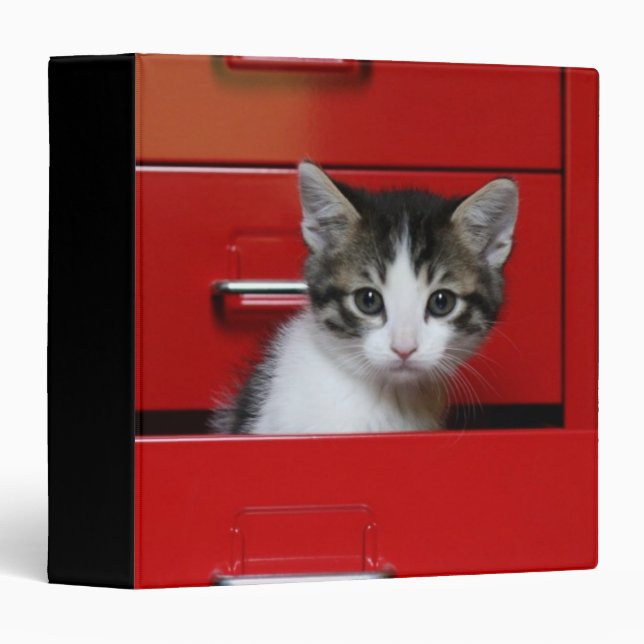 Kitten Peeking 3 Ring Binder (Front/Spine)