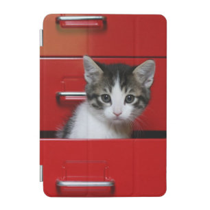 Kitten Peeking iPad Mini Cover