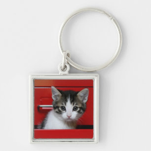 Kitten Peeking Keychain