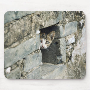 Kitten Peeking out of Wall, Yangshuo, Guangxi Mouse Pad