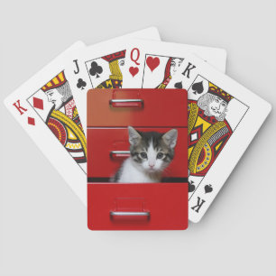 Kitten Peeking Poker Cards