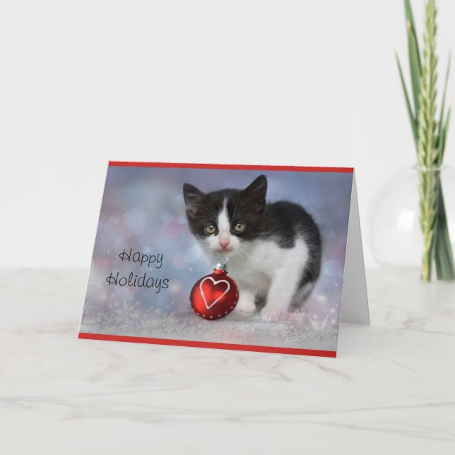 Kitten Personalized Holiday Card (Front)