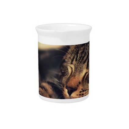 Kitten Pet Animal Beverage Pitcher