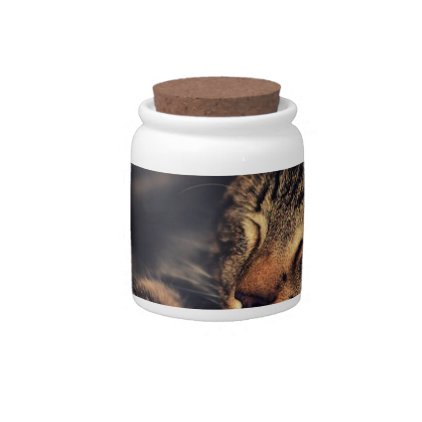 Kitten Pet Animal Candy Jar